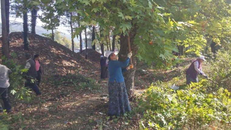 Bisiklet festivali için hazırlıklar başladı