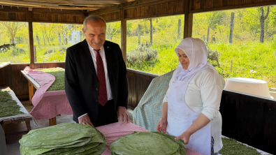 Devrek Güneşi Yöresel Ürünleri