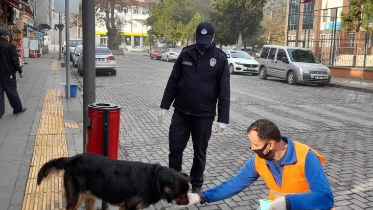 4 Nisan Sokak Hayvanları Günü