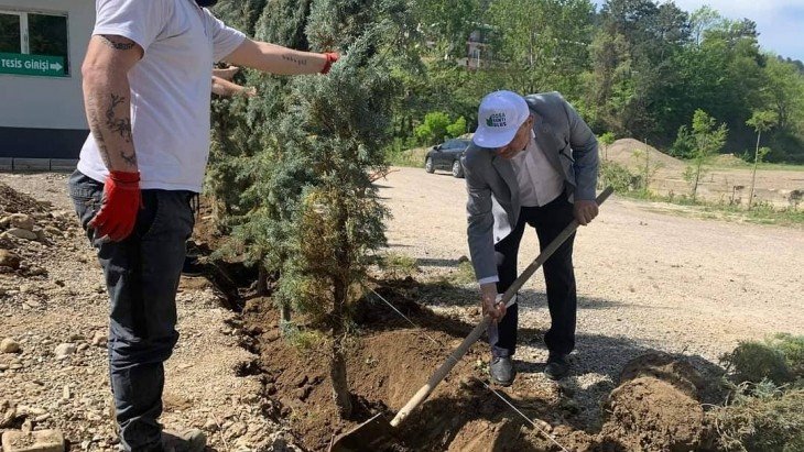 Doğa Kenti Ulus Peyzaj Çalışmaları