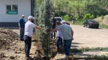 Doğa Kenti Ulus Peyzaj Çalışmaları